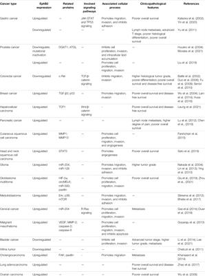 The Roles of EphB2 in Cancer